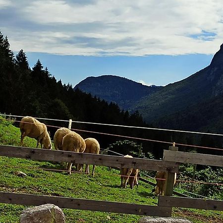 Agriturismo Maso Pertener -Adults Friendly- Comano Terme Exteriér fotografie