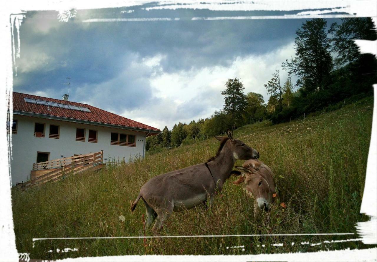 Agriturismo Maso Pertener -Adults Friendly- Comano Terme Exteriér fotografie